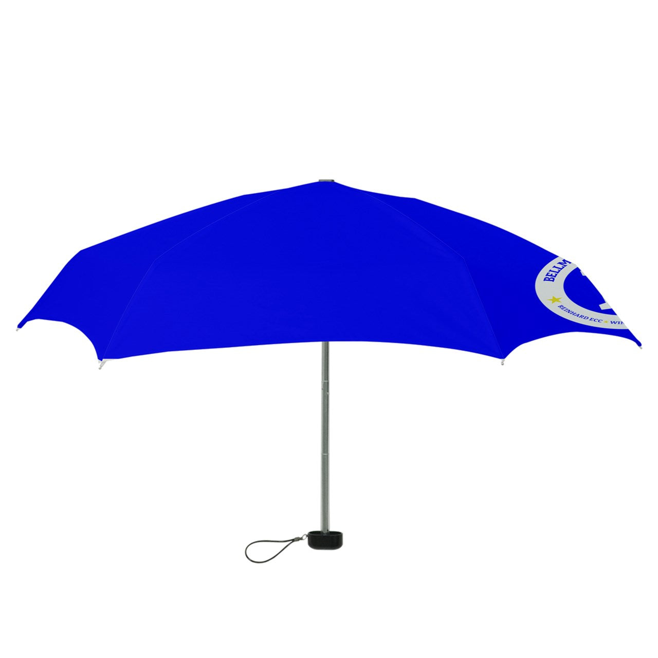 Mini Folding Umbrella
